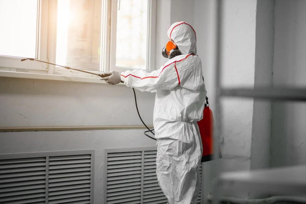 Professional mold remediation services in Punta Gorda, FL